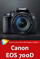 Canon EOS 500D: Kamera und Motive von AZ